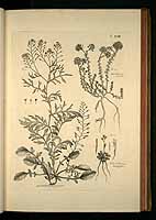  no thumbnail available