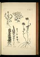  no thumbnail available