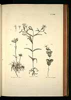  no thumbnail available