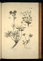  no thumbnail available