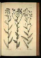  no thumbnail available