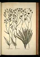  no thumbnail available