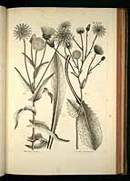  no thumbnail available