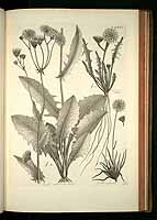  no thumbnail available