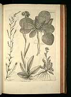  no thumbnail available