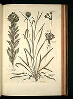  no thumbnail available