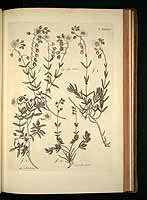  no thumbnail available