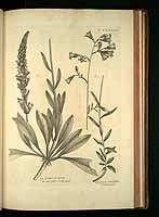  no thumbnail available