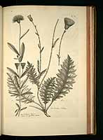  no thumbnail available