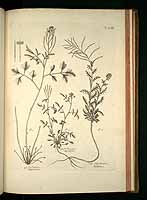  no thumbnail available