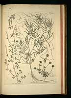  no thumbnail available