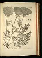  no thumbnail available