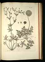  no thumbnail available