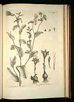  no thumbnail available