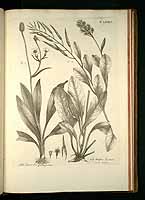  no thumbnail available