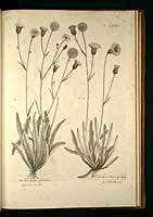  no thumbnail available