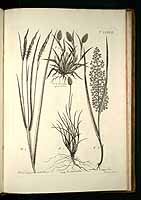  no thumbnail available