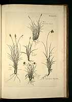  no thumbnail available