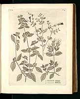  no thumbnail available