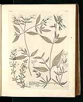  no thumbnail available