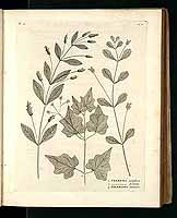  no thumbnail available