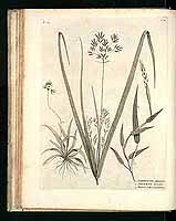  no thumbnail available