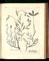  no thumbnail available