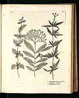  no thumbnail available