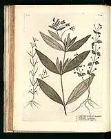  no thumbnail available