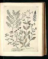  no thumbnail available