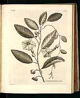  no thumbnail available