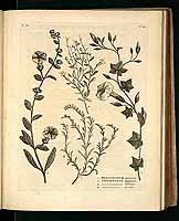  no thumbnail available