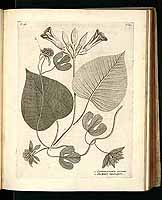  no thumbnail available