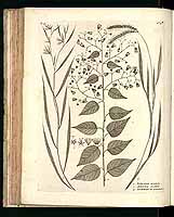  no thumbnail available