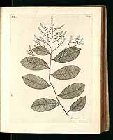  no thumbnail available