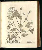  no thumbnail available