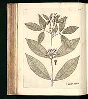  no thumbnail available