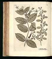  no thumbnail available