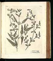  no thumbnail available