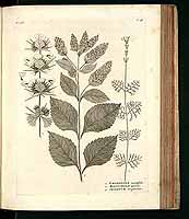  no thumbnail available