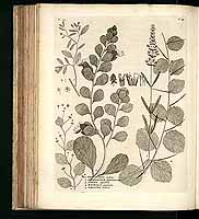  no thumbnail available