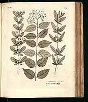  no thumbnail available