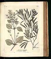  no thumbnail available