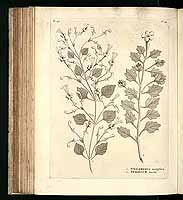  no thumbnail available