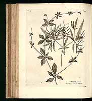  no thumbnail available