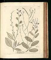  no thumbnail available