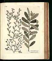  no thumbnail available