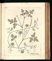  no thumbnail available