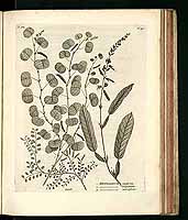  no thumbnail available