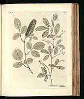  no thumbnail available